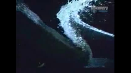 Discovery Channel - Цунами - part 2 