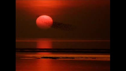 ibiza sunset - falling in dreams (original) 
