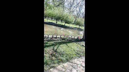 Vid_20230415_144605.mp4