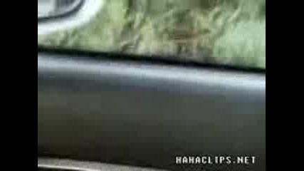 ето нещо интересно