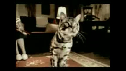 Реклама - Гол Котката Танцува.3gp
