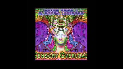 Electric universe&space tribe-pozitronic brain