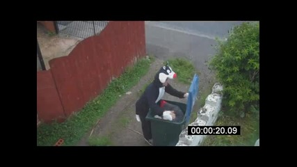 Отмъщението на котката :d 