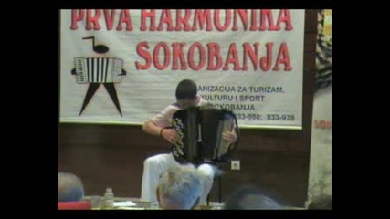 Harmonika - Dusan Djukic - Dadino kolo 