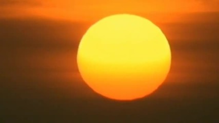 Bach Siciliano Bwv1031 for piano and Orchestra H D
