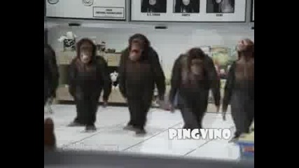 Смях - Маймуни Играят Хоро