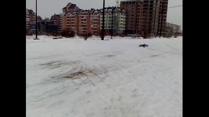 Savage Xl на сняг
