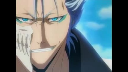 Bleach - Ichigo vs Grimjow Amv