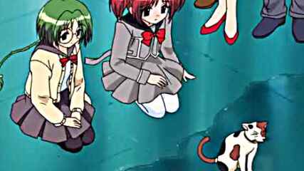 Tokyo Mew Mew 29