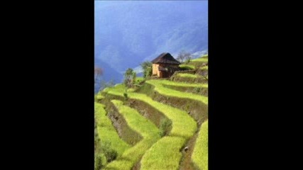 This Is The Nature