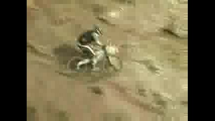 Extrem Freeride