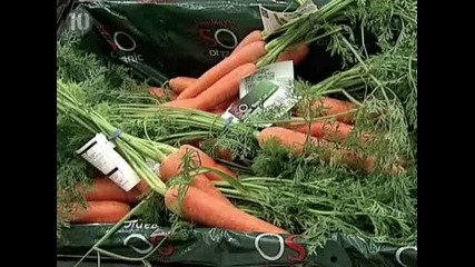 10 Мита който са Реалност