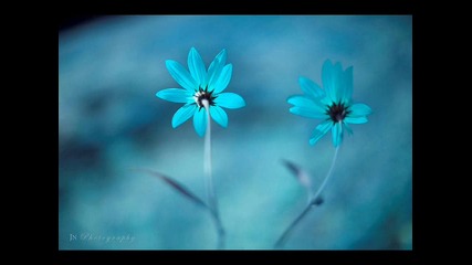 Gary B - Without you bg_sub