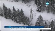 Огромни щети за електропреносната мрежа заради снега