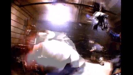 Wild Fang- Im Broken