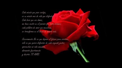 Te amo - Franco D vita 