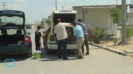 Gaza Family's Pet Lions En Route to Jordan Sanctuary...