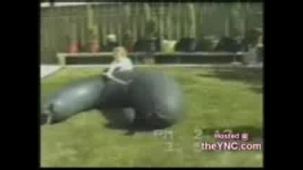 много яко смях...хахахахахха