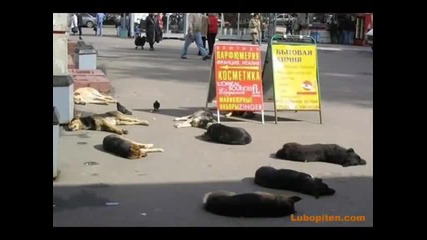 Това може да се види само в Русия