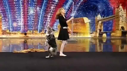 !!! Невероятно куче удиви журито на Britains Got Talent 2010 !!! 