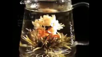 Teaposy - Blooming Teas