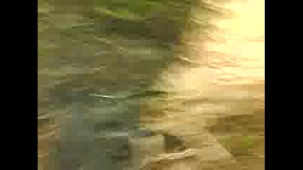 Mov00395