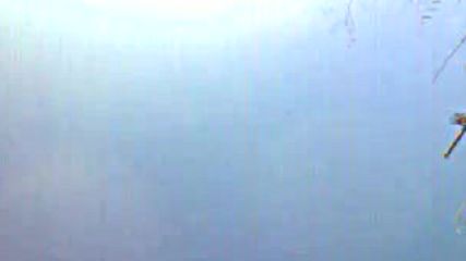 Summer Hit 2017 Hd