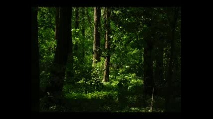 Животинки - - св Валентин 