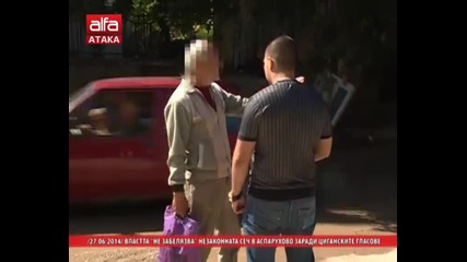 Властта "не забелязва" незаконната сеч в Аспарухово заради циганските гласове, 27.06.2014г.