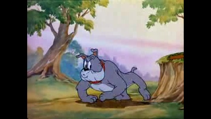 Tom & Jerry - Cat Fishin