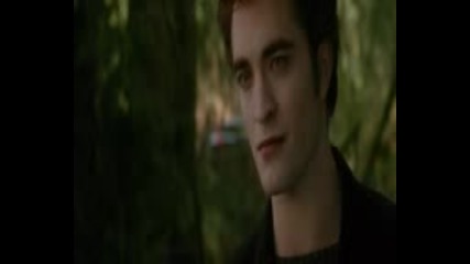 Marry Me Bella 