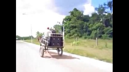 Най модерната каручка бас мания