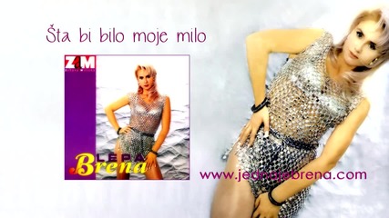 Lepa Brena - Sta bi bilo moje milo - (Official Audio 1995) HD