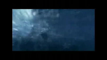 Jaws 5 - Trailer 2010 