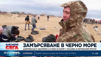 Доброволци и аварийни служби се борят с нефтения разлив в Керченския проток