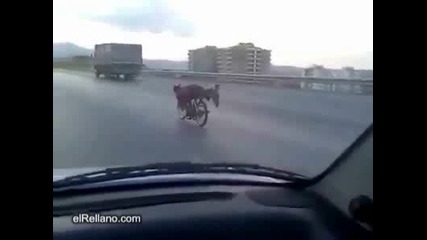 Такъв като този няма да видите никъде 