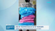 ГДБОП разби наркоканал в Ловеч: Откриха 200 кг марихуана и над 10 кг кокаин в хладилни камиони