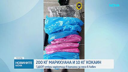 ГДБОП разби наркоканал в Ловеч: Откриха 200 кг марихуана и над 10 кг кокаин в хладилни камиони