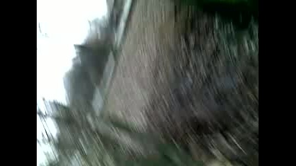 sali
