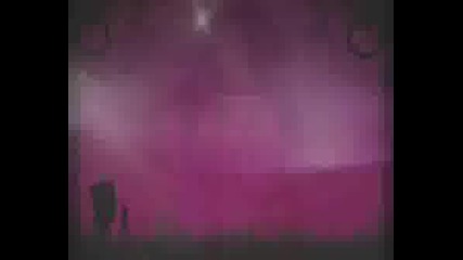 Wwe Divas Slide Show