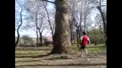Wall Flip