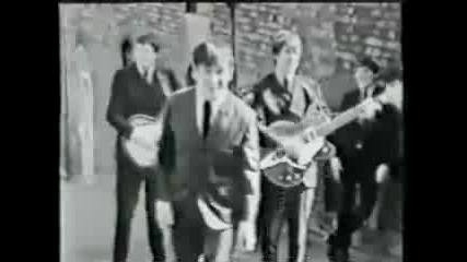 The Animals - Baby Let Me Take You Home