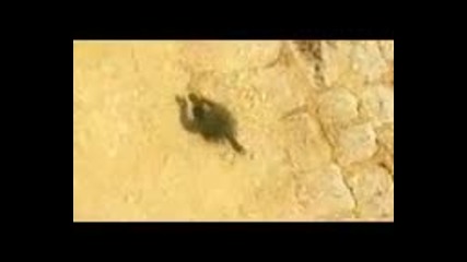 Counter Strike Best Frag Movie 