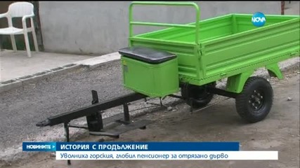 Уволниха горския, глобил пенсионер за отрязано дърво