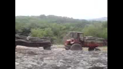 Mov00006