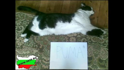 Тва моете го виите само у България !