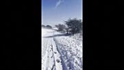 Снежен хаос в Северна Англия