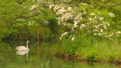 James Last Madam Butterfly