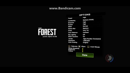 The forest [bg]