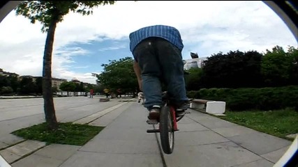 Bmx Velocity 